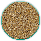 Resin Bound Driveway & Paving Sample - Golden Pearl